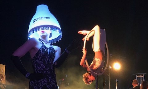 Event entertainment - Lyra and lampshade