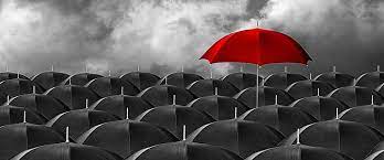 specialised Red Umbrella