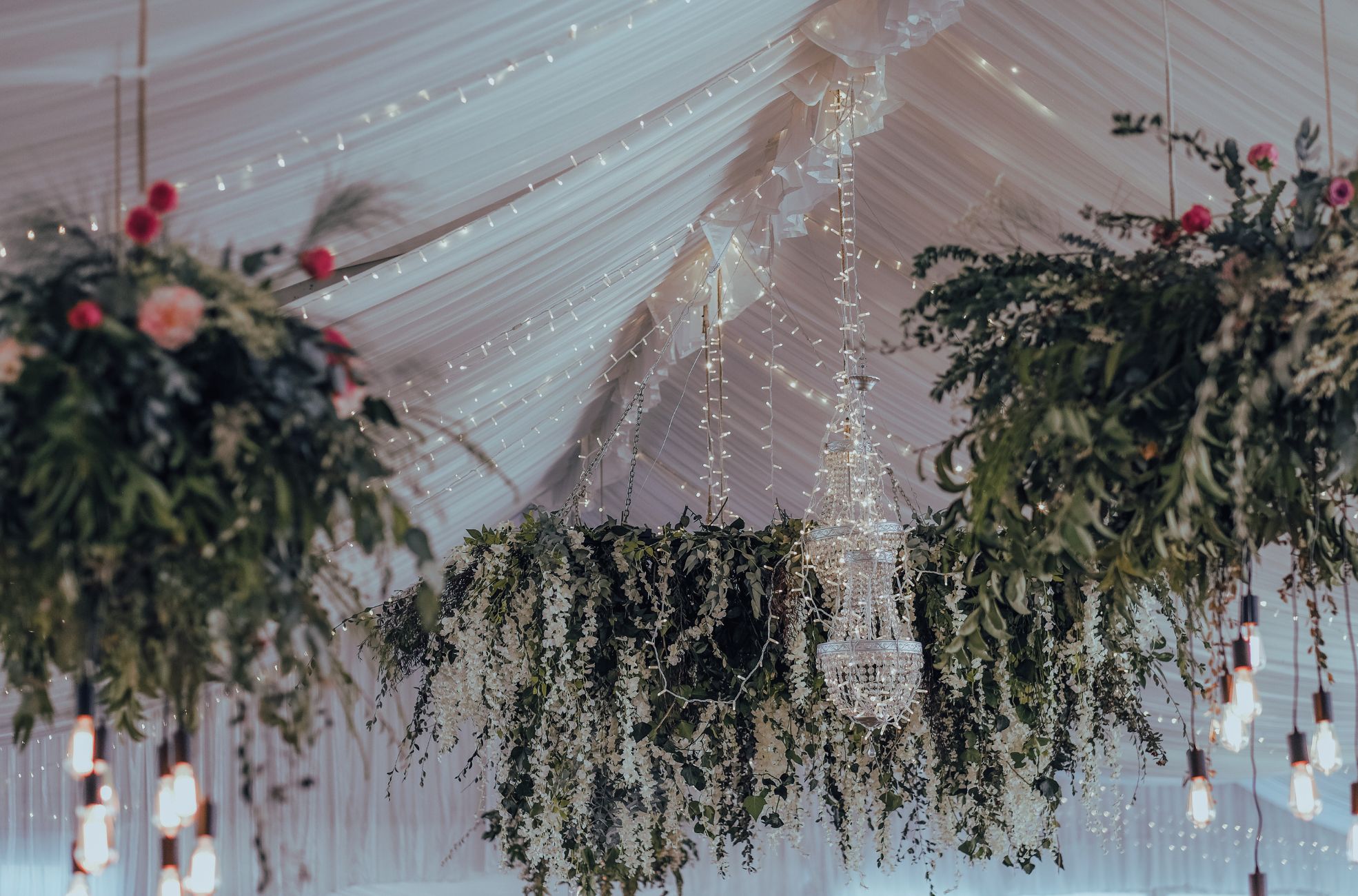 Stock Photo Plants And Lighting