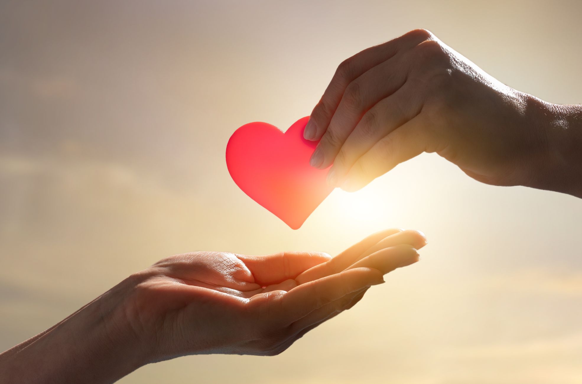 Stock Photo Showing Charity With Hands And Heart
