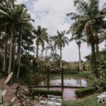 Rainforest Gardens Brisbane wedding venue with tropical palms, garden ceremony seating and a lakeside ceremony arbour.