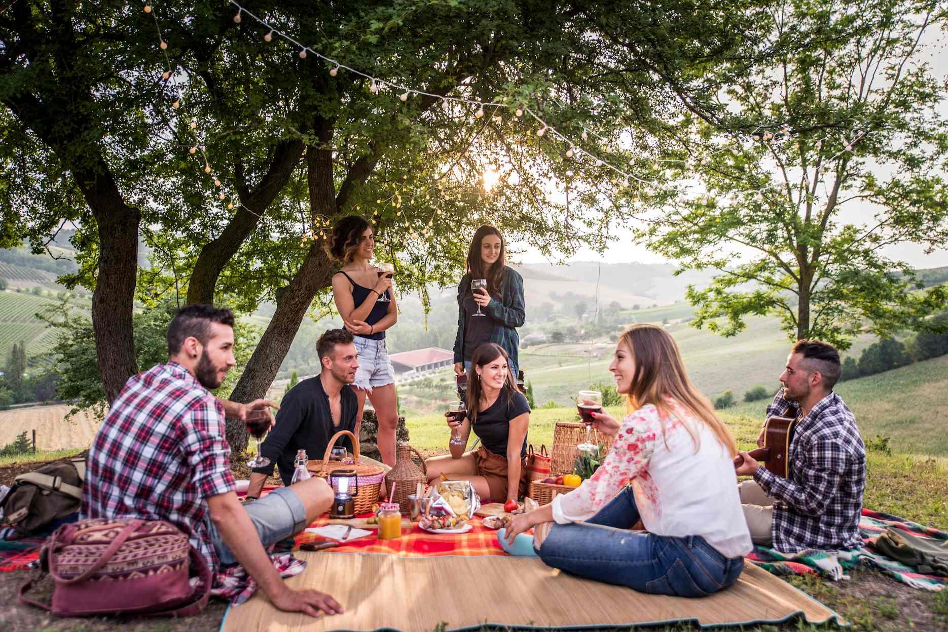 Summer picnic party with friends enjoying drinks and live acoustic music outdoors.