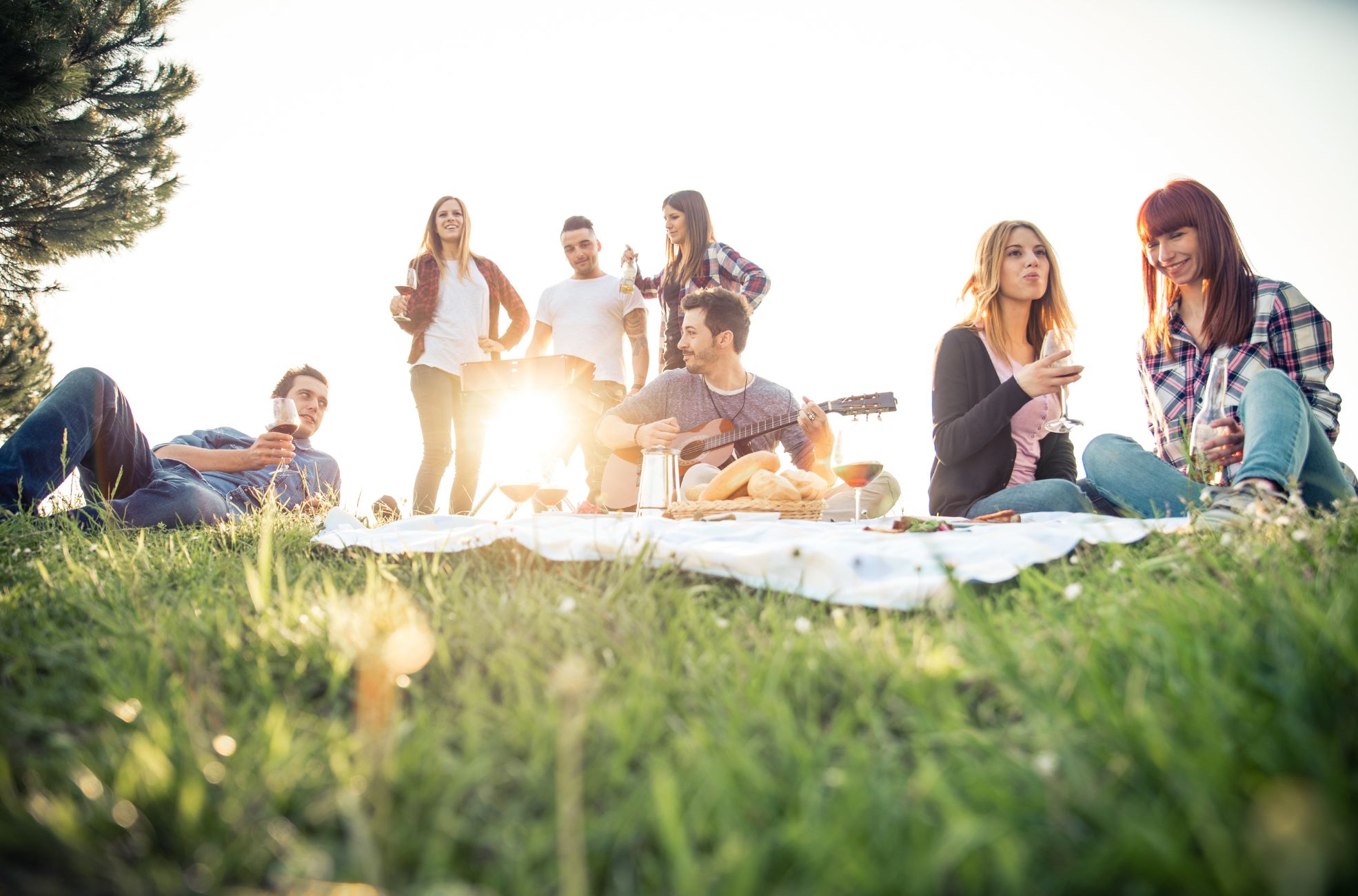 Engagement Party Picnic Theme