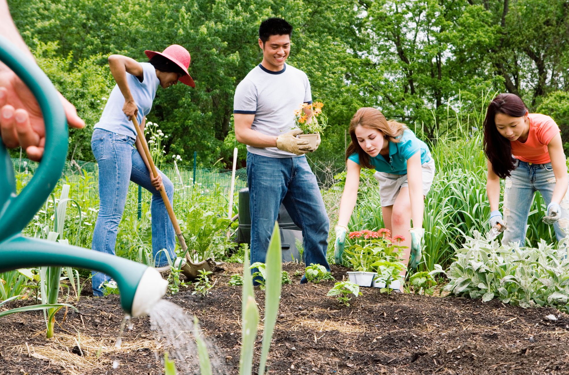 Community Gardening Event