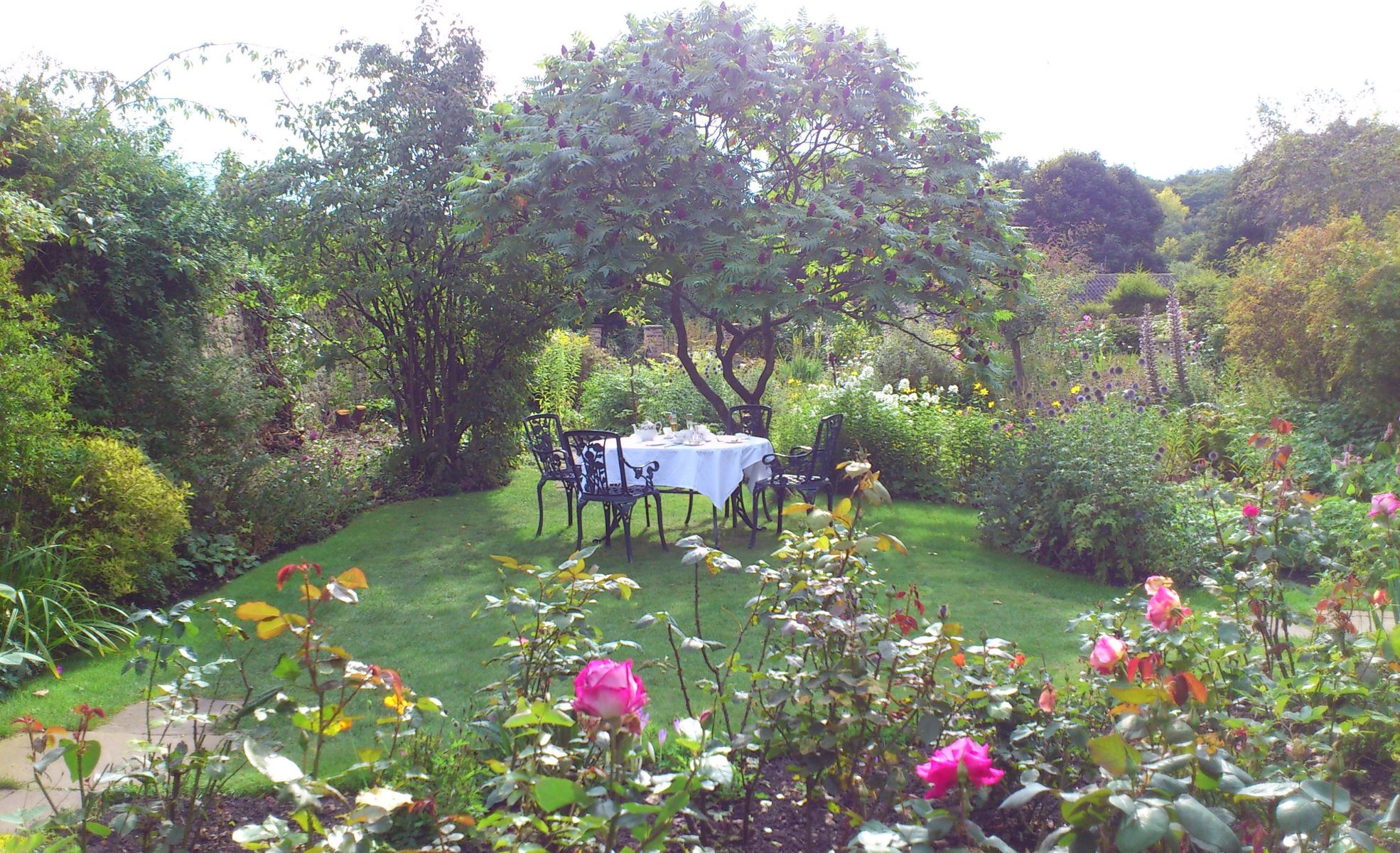 Tea Party In Garden