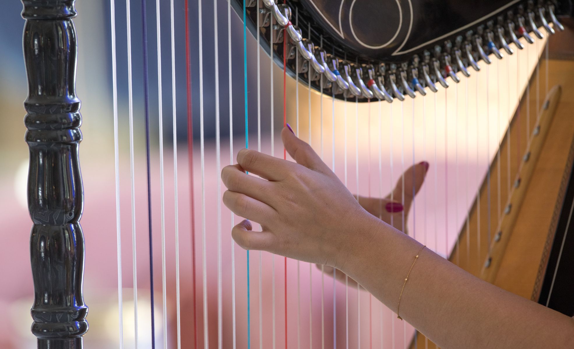 Harpist Playing At Themed Party