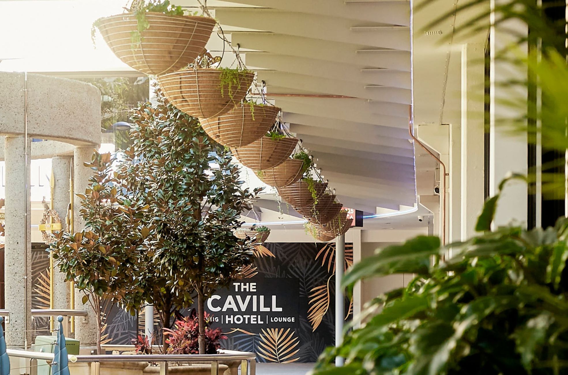 Outdoor Area, The Cavill Hotel