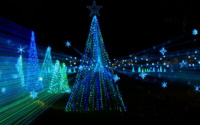 Drone Light Shows: The Modern Alternative to Fireworks in Australia