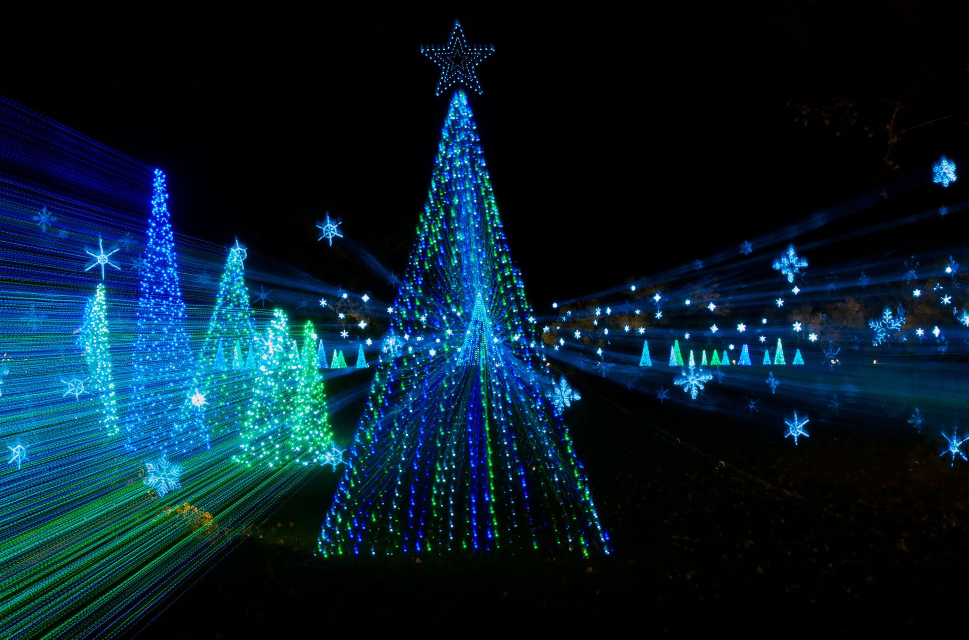 Drone Christmas Light Show
