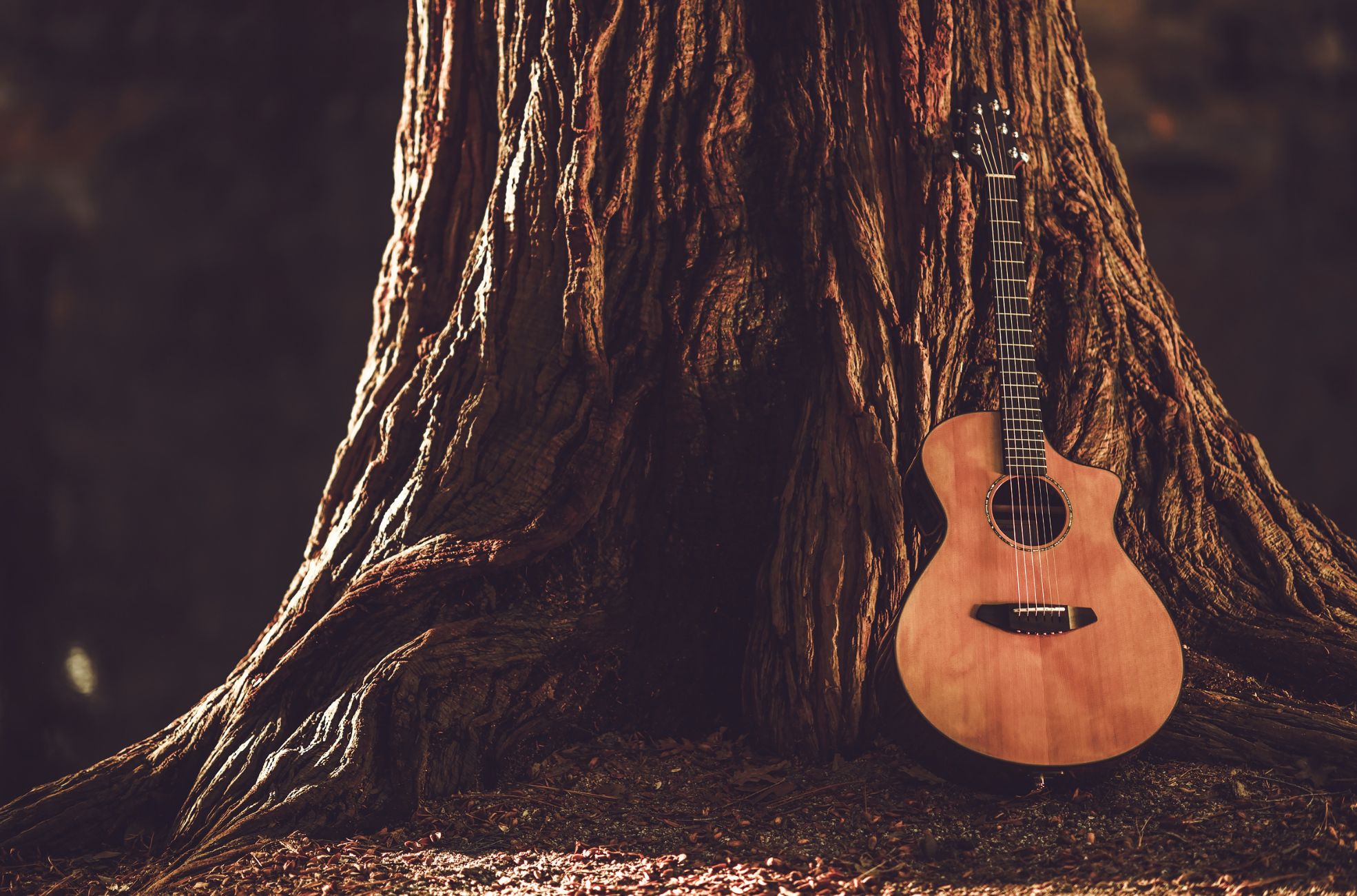 Guitar And Tree