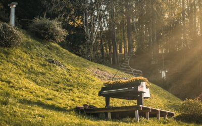 Soundscaping Outdoor Venues: Making Nature Part of the Entertainment