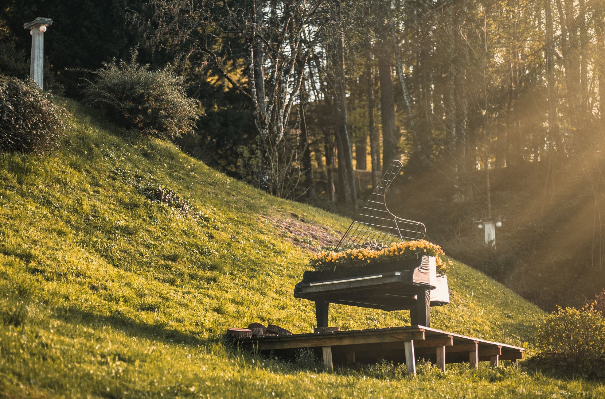 Piano In Forest