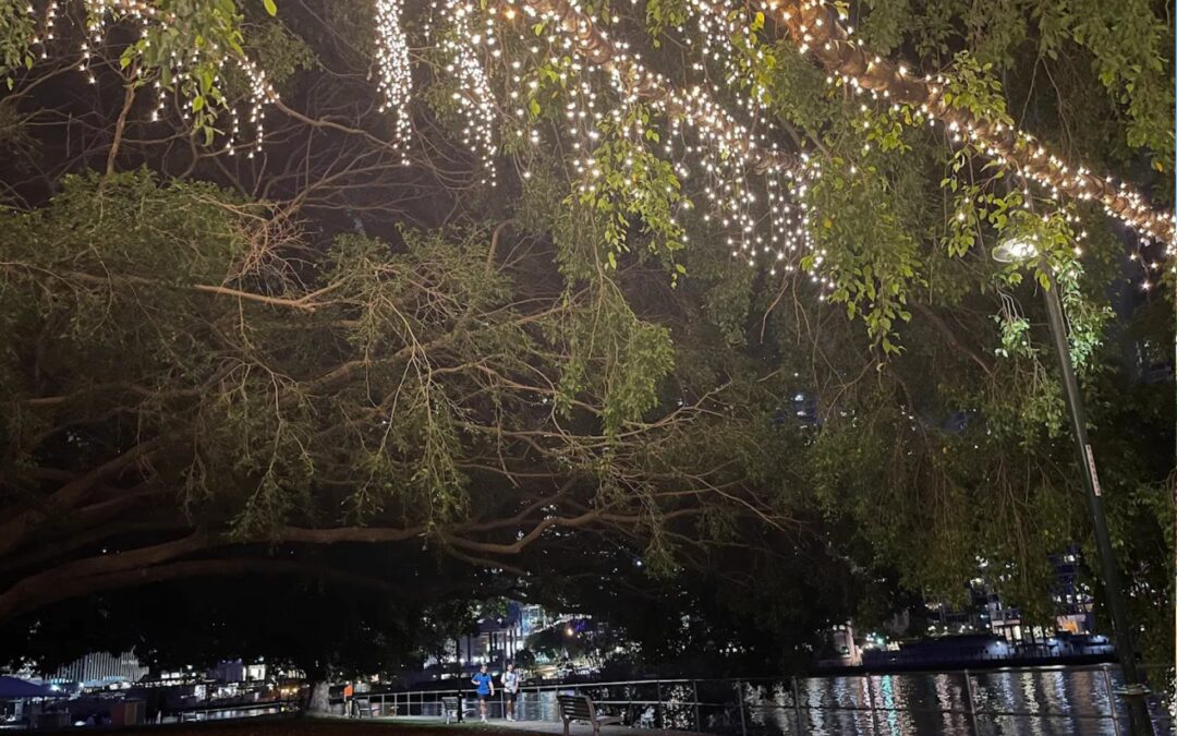 Our Top Park Birthday Party Ideas: Creative Themes, Setups and Activities